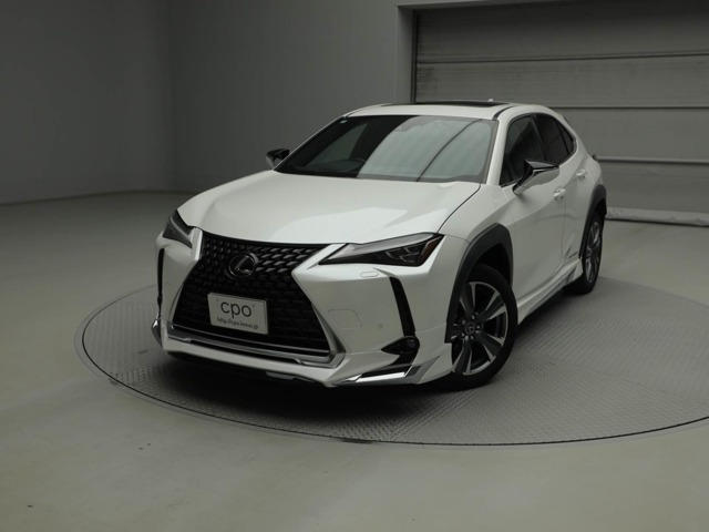 UX300e バージョンL