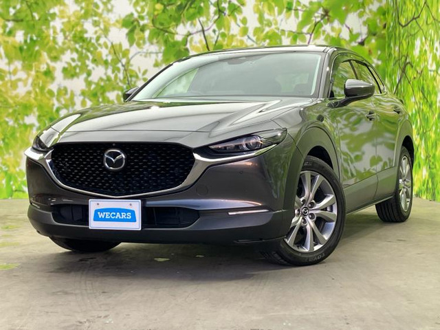 CX-301.8 XD プロアクティブ ツーリングセレクション