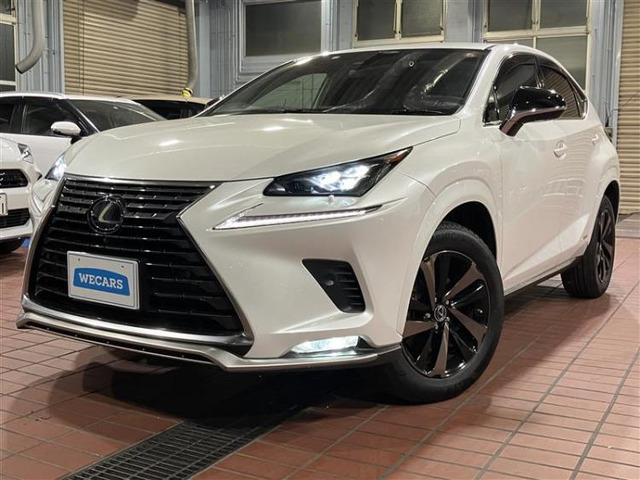 NX300h スパイス&シック