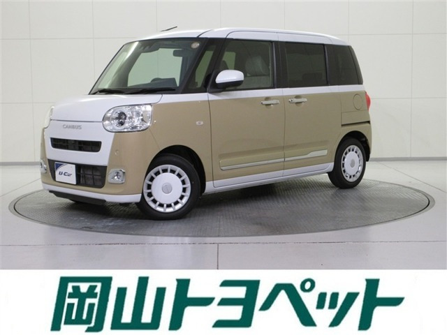 ムーヴキャンバス  ストライプス G