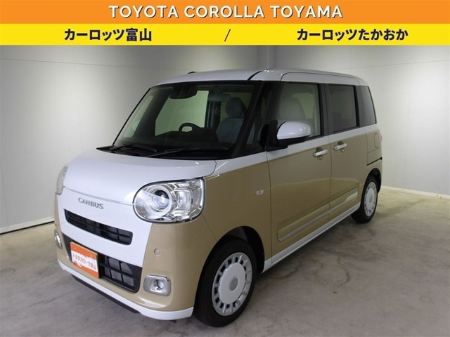 ムーヴキャンバス  ストライプス G