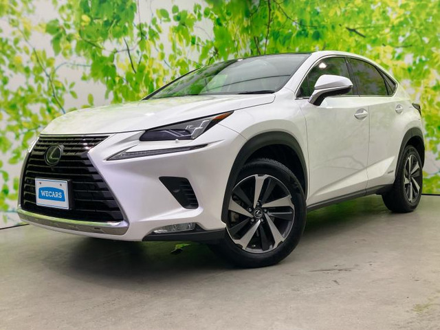 NX300h バージョンL