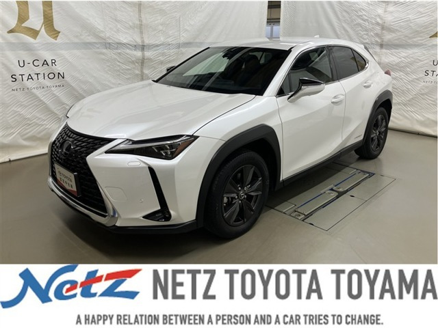 UX250hブラウン エディション