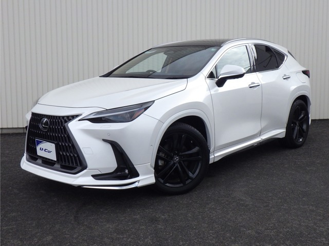 NX 350h バージョンL （6AA-AAZH20）