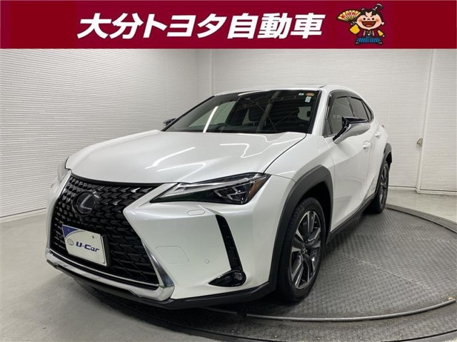 UX250h バージョンL 4WD