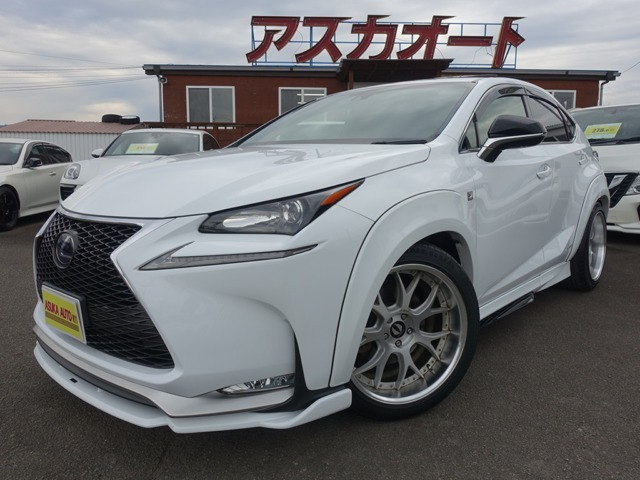 NX 300h Fスポーツ 