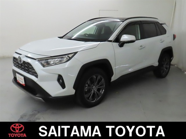 RAV4 2.0 G 4WD