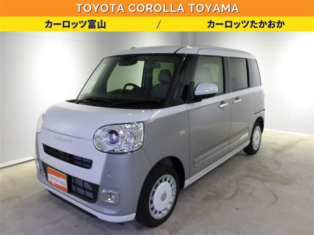 ムーヴキャンバス  ストライプス G