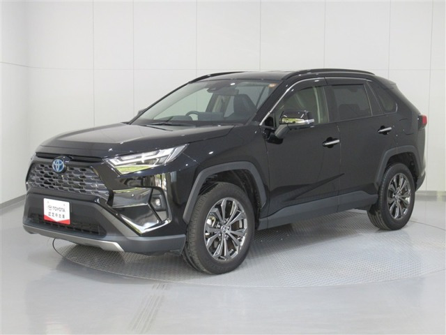 RAV4 2.5 ハイブリッド G E-Four 4WD （6AA-AXAH54）