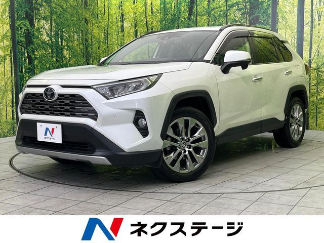 RAV42.0 G Zパッケージ 4WD