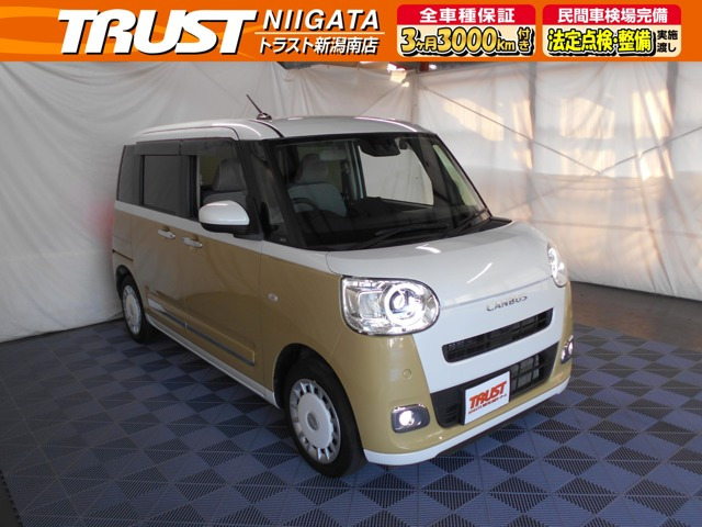 ムーヴキャンバス  ストライプス G