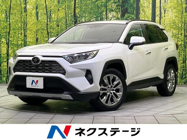 RAV4 2.0 G Zパッケージ 4WD （6BA-MXAA54）