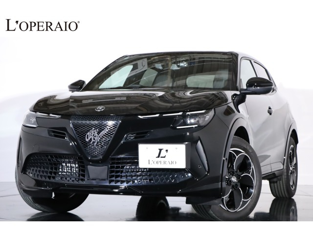 ジュニアイブリダ プレミアム走行約600km シートヒーター 10..25インチ