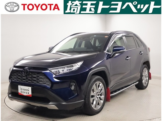 RAV4 2.0 G 4WD