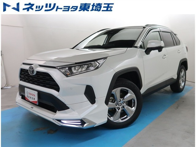RAV4 2.0 X