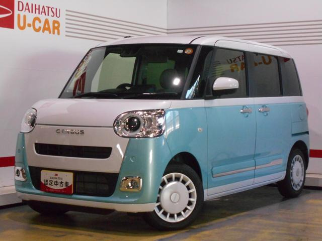 ムーヴキャンバス  ストライプス G