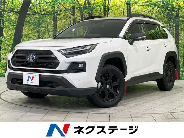 RAV42.5 ハイブリッド アドベンチャー オフロードパッケージ II E-Four 4WD