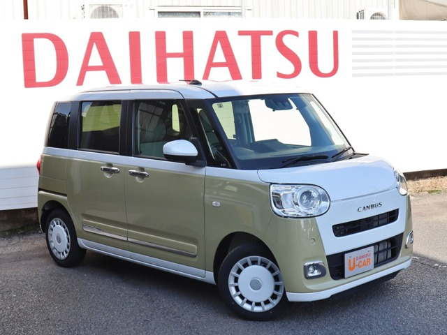 ムーヴキャンバス  ストライプス G