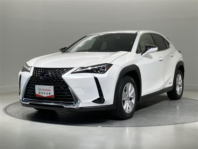 UX 250h バージョンC