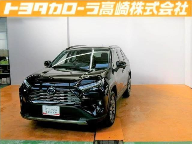RAV4 2.5 ハイブリッド G E-Four 4WD 