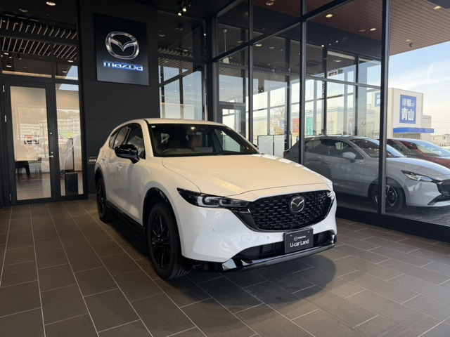 CX-52.2 XD レトロスポーツエディション