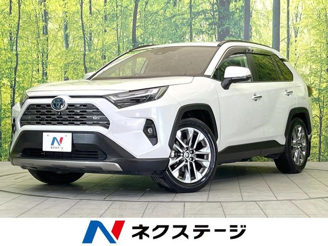 RAV4 2.5 ハイブリッド G E-Four 4WD （6AA-AXAH54）