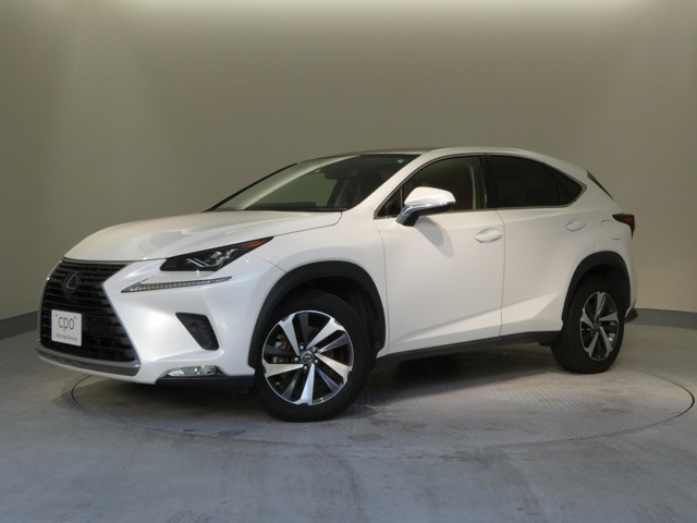 NX 300 Iパッケージ 