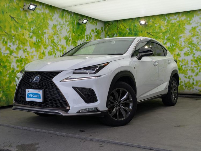 NX 300h Fスポーツ