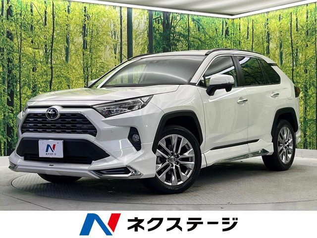 RAV4 2.0 G Zパッケージ 4WD （6BA-MXAA54）