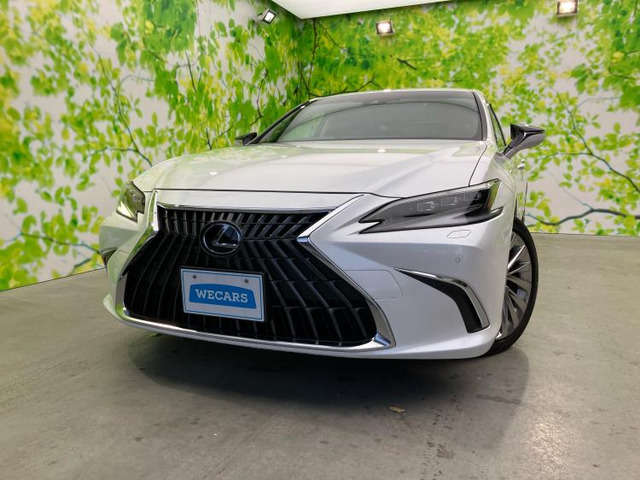 ES300h バージョンL