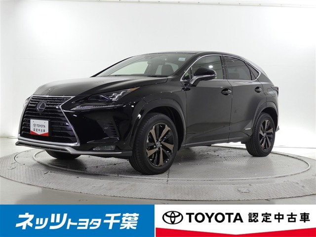 NX300hスパイス&シック