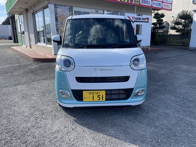 ムーヴキャンバス  ストライプス G