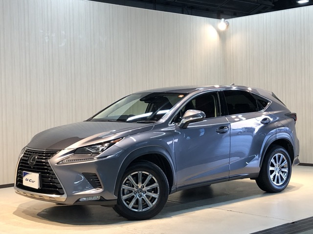 NX300 Iパッケージ 4WD