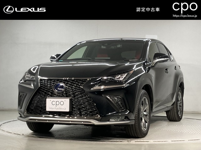 NX 300h Fスポーツ 