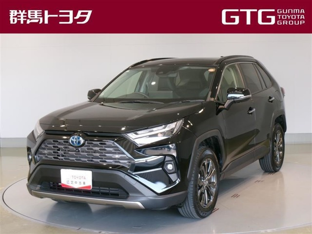 RAV4 2.5 ハイブリッド G E-Four 4WD （6AA-AXAH54）