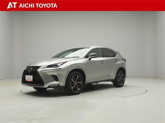 NX300 ブロンズ エディション