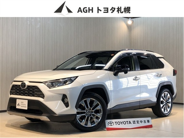 RAV4 2.0 G Zパッケージ 4WD