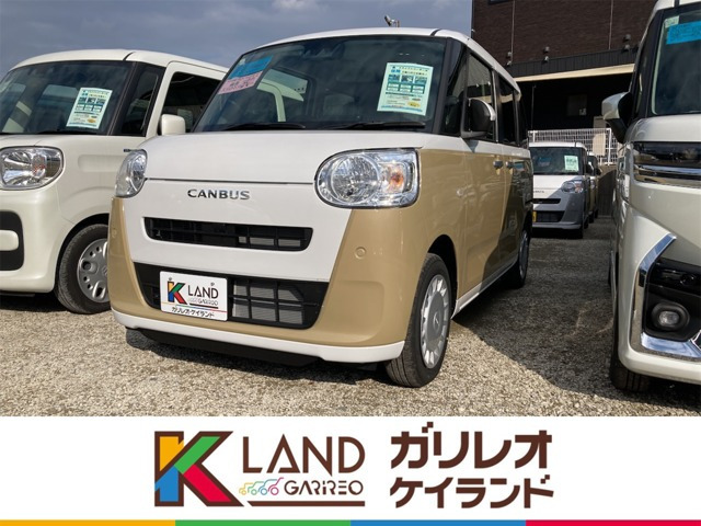 ムーヴキャンバス  ストライプス X