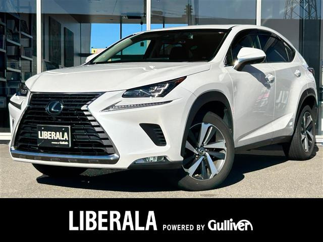 NX 300 Iパッケージ 本革シート サンルーフ