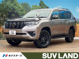 サンルーフ BIG-X11インチナビ 寒冷地仕様 レーダークルーズコント