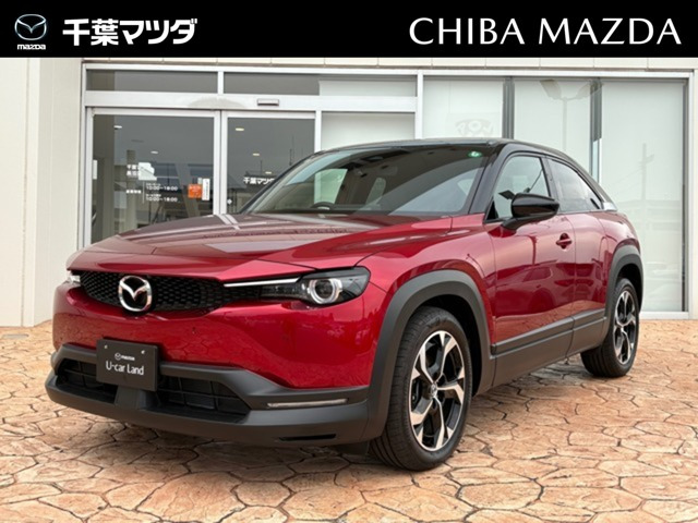 MX-302.0 ナチュラル モノトーン