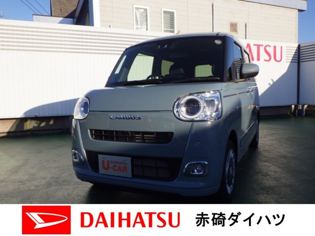 ムーヴキャンバス  セオリー G