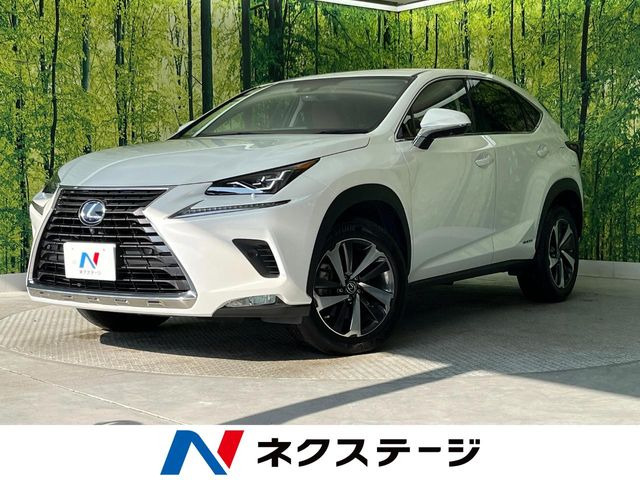 NX300h Iパッケージ