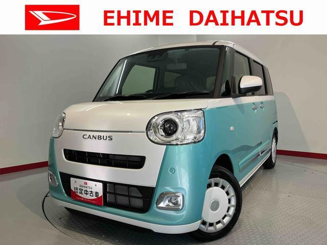 ムーヴキャンバス  ストライプス G