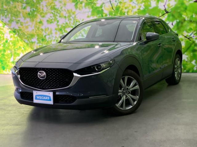 CX-302.0 20S プロアクティブ