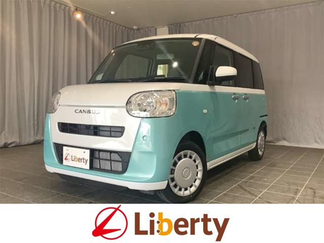 ムーヴキャンバス  ストライプス X