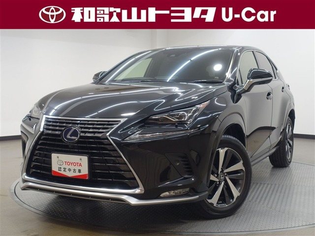 NX300hスパイス&シック