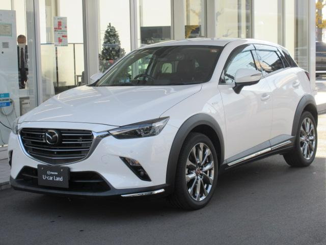 CX-31.8 XD100周年特別記念車 ディーゼルターボ