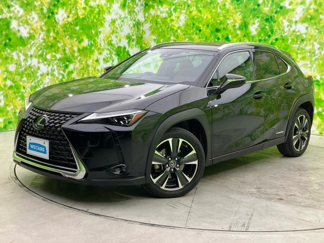 UX250h バージョンL