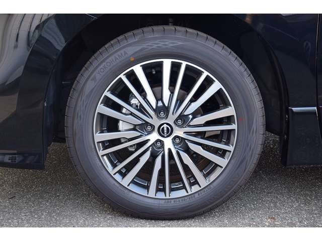 日産 エルグランド 2.5 250ハイウェイスターS の中古車詳細 (登録済未